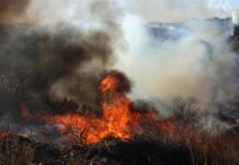 incendios