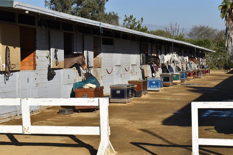 refugio temporal Los Angeles Equestrian Center (LAEC) este s&aacute;bado, en Los &Aacute;ngeles