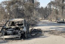 vehículos incinerados este viernes, en Altadena