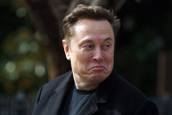 Elon Musk (2) Elon Musk