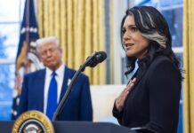Tulsi Gabbard