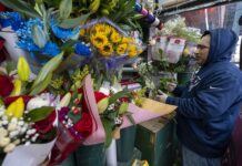Importación de flores en EE.UU. prospera durante San Valentín pese al fantasma de aranceles Un hombre prepara un ramo de flores durante los preparativos por el Día de San Valentín