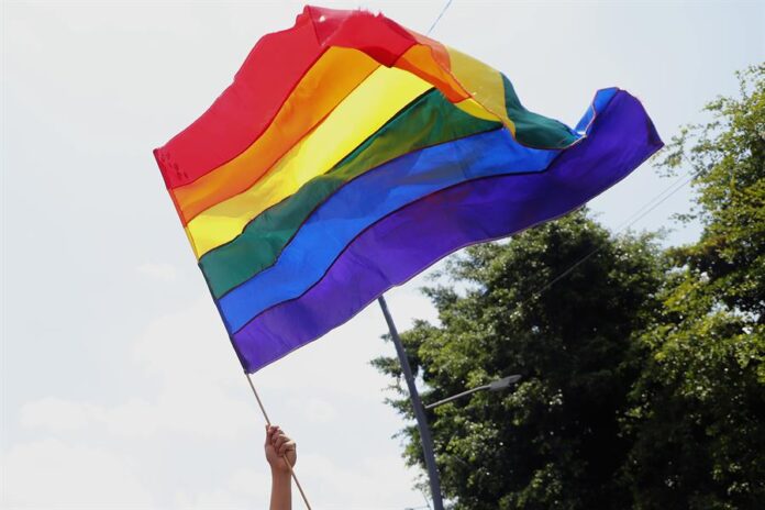persona sosteniendo una bandera durante una marcha Pride del orgullo LGBTI+,