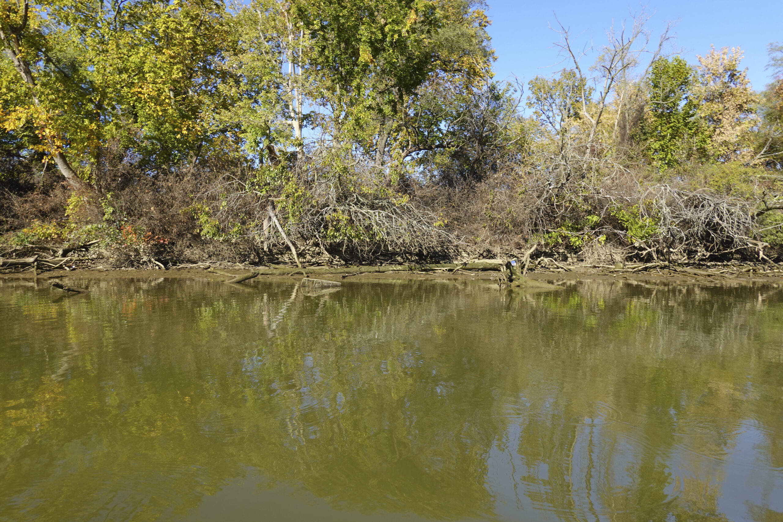 Anacostia