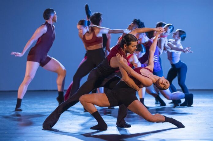 Artistas se presentan en la obra Tango Vitrola este lunes, en el Museo Guggenheim de Nueva York (2) Artistas se presentan en la obra Tango Vitrola este lunes, en el Museo Guggenheim de Nueva York (2)