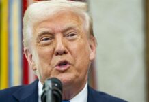 Donald Trump (