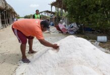 Pablo David Canché, socio cooperativista de una salinera
