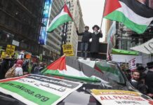 Amnistía Internacional advierte sobre la "violencia" de EE.UU. en la represión de protestas Protestan en Nueva York en apoyo a Palestina (2)