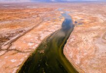 Río Colorado en San Luis Río Colorado