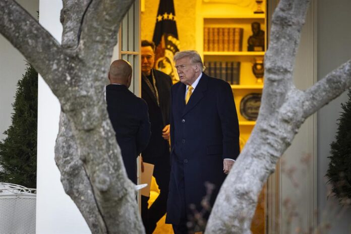 Trump (11) Trump