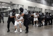 Enemigos Extranjeros: Trump combate al Tren de Aragua con deportaciones Bukele y Trump actúan fuera de los marcos legales con el envió a El Salvador de migrantes