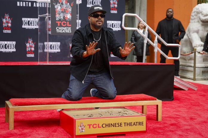 Ice Cube (1) Ice Cube