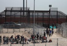 migrantes