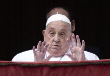 papa Francisco