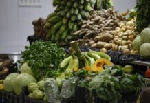 Los aranceles de EE.UU. amenazan las exportaciones agrícolas de Latinoamérica