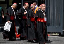 El cónclave más heterogéneo de la historia busca sus 'hacedores de reyes' Cardinals