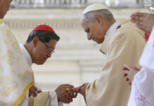 El papa León XIV