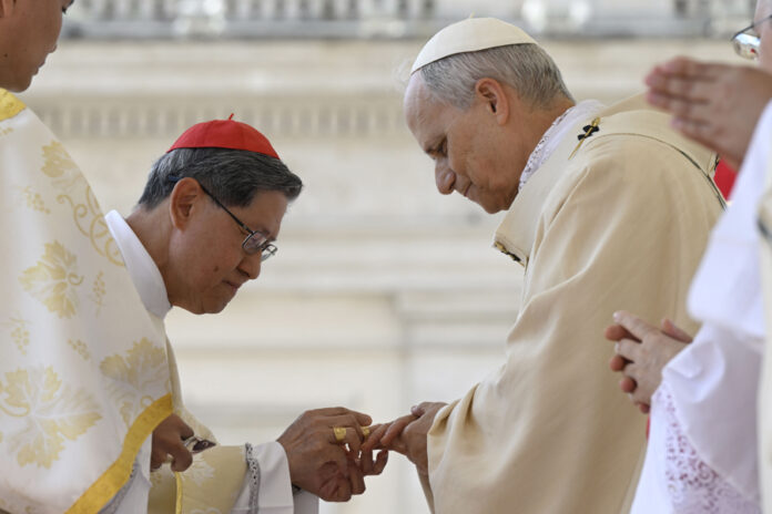 El papa León XIV