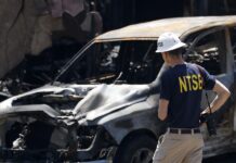 Mueren el productor Dave Shapiro y el músico Daniel Williams en accidente de avioneta accidente