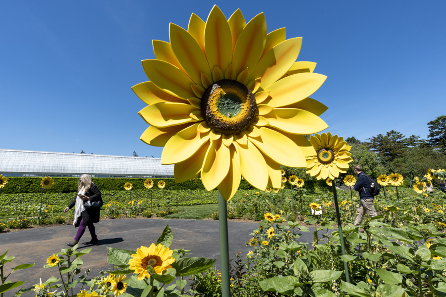 esculturas de girasoles durante la exposici&oacute;n Van Gogh's Flowers