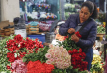Madres trabajadoras en México, entre barreras laborales y sobrecarga de tareas de cuidado Madres trabajadoras