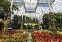 Lirios, rosas y girasoles de Van Gogh llenan de color el Jardín Botánico de Nueva York