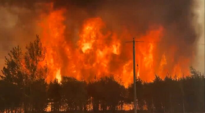 Múltiples fallas agravaron devastación de incendios en Los Ángeles en 2025, según informe incendio