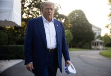 Trump sobre la cumbre de la OTAN: Será mucho más tranquila que lo vivido con Israel e Irán
