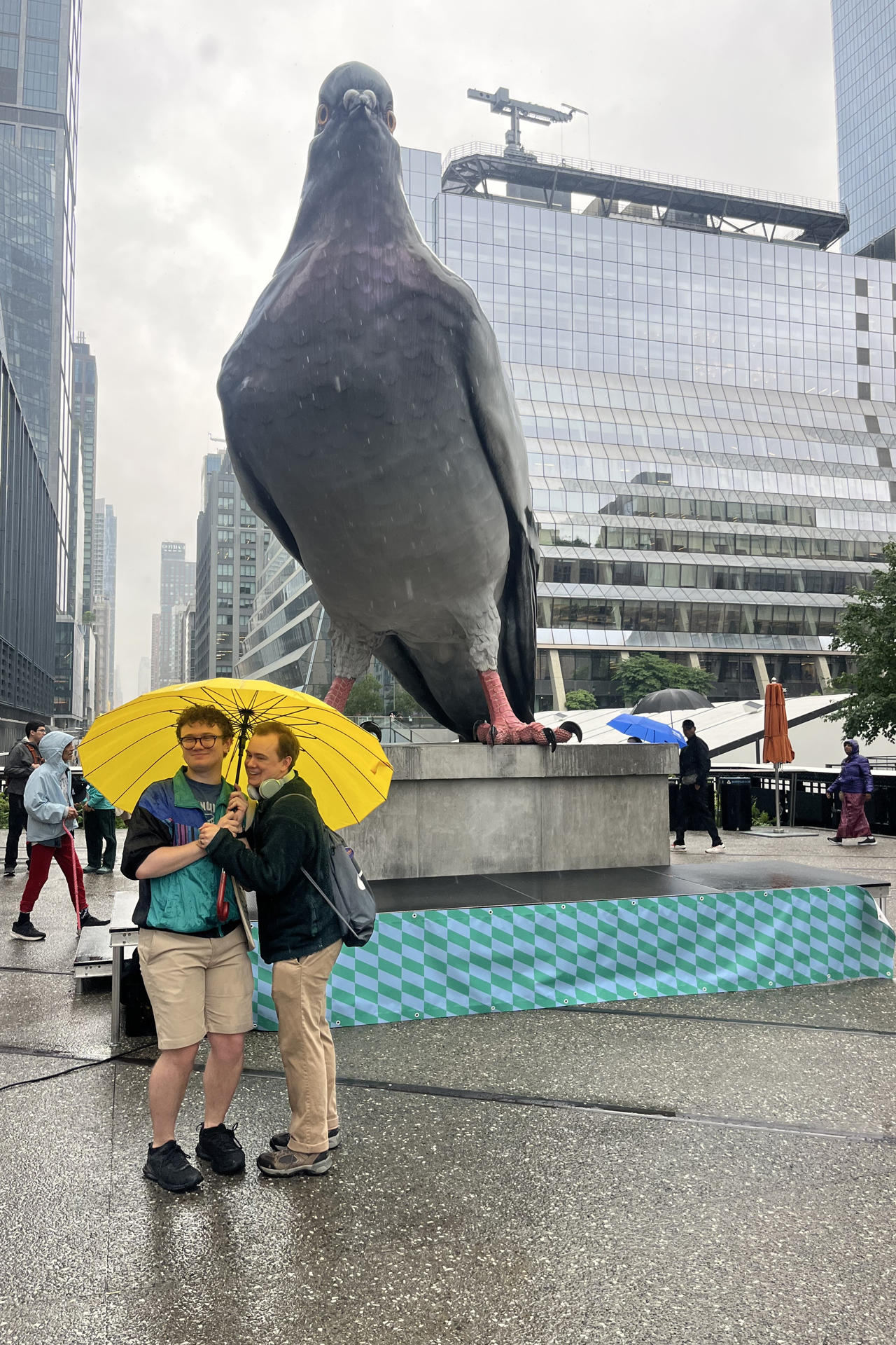 Nueva York dedica un festival a sus palomas y reivindica mayor protección para las aves