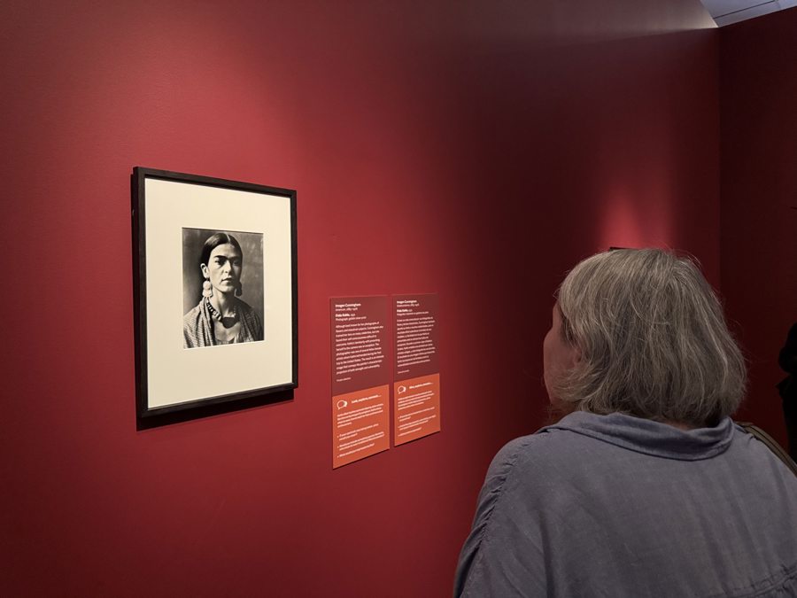 "Frida más allá del mito", una ventana desde EEUU al lado más personal del ícono mexicano