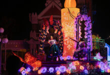 Disney Starlight- Dream the Night Away_15 (1)