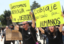 Artistas mexicanos exigen proteger las voces humanas ante herramientas de clonación con IA Artistas mexicanos exigen proteger las voces humanas ante herramientas de clonación con IA