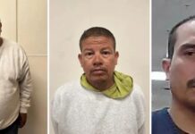 Redada migratoria en granja de cannabis en California supone la mayor con 361 detenidos
