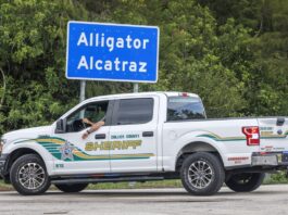 Juez desestima demanda sobre el acceso legal de migrantes en 'Alligator Alcatraz' Alligator Alcatraz