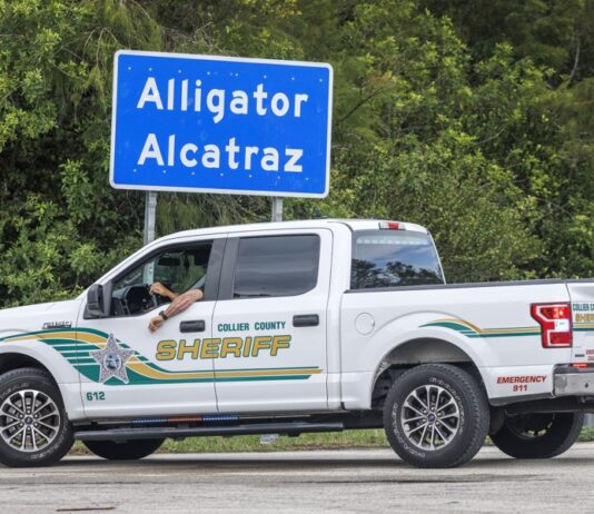 Alligator Alcatraz
