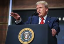 El pacificador Trump puede caer en la trampa de Putin