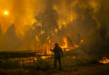 Incendio forestal