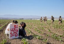 Trump dice que redadas migratorias "no han ido suficientemente lejos" y defiende tácticas redadas en granja