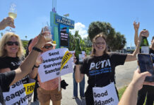 Ecologistas celebran el cierre del Seaquarium de Miami tras décadas de protestas
