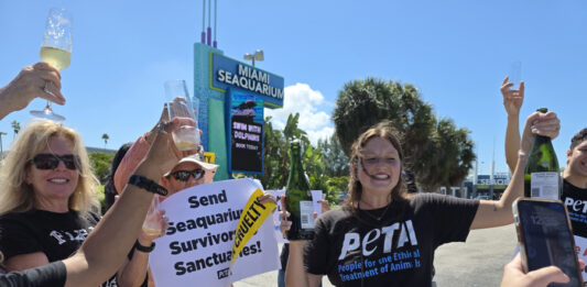 Ecologistas celebran el cierre del Seaquarium de Miami tras décadas de protestas