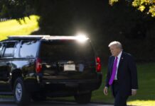 Trump usa la IA para autoproclamarse rey y responder a las protestas de 'No Kings' Trump