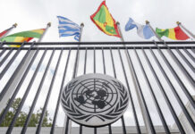 La ONU