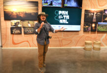 Muestra brasileña lleva la exuberancia del mayor humedal del mundo al corazón de EE.UU. Muestra brasileña lleva la exuberancia del mayor humedal del mundo al corazón de EE.UU.