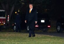 Trump confirma que "ningún funcionario" de EE.UU. asistirá al G20 de Sudáfrica Trump