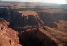 el-Gran-Cañón-celebra-su-primer-siglo-como-parque