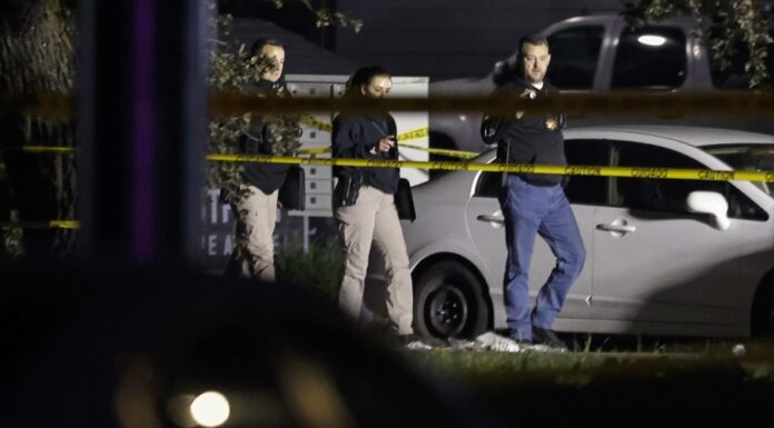 Hallan muertos a tres excursionistas en el monte Baldy, en California tiroteo