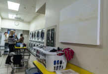 Desnivel, proyecto que transforma los negocios de barrio de Nueva York en galerías de arte