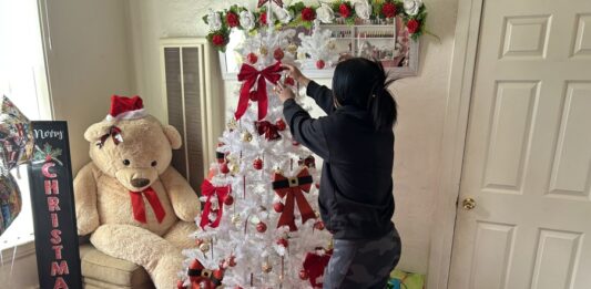 Migrantes en EEUU ruegan ser "invisibles" para ICE en esta Navidad