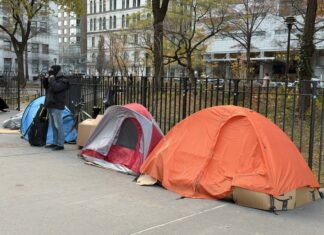 De verde y elegantes: El "club de fans" de Mangione desafía el frío para ver a su "héroe" De verde y elegantes: El "club de fans" de Mangione desafía el frío para ver a su "héroe"