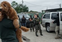 Decenas de niños de Florida preparan salida de EE.UU. tras deportación de sus familiares agentes federales